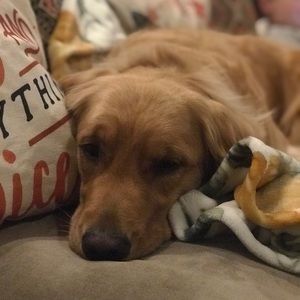 Meet your Posher, Colleen